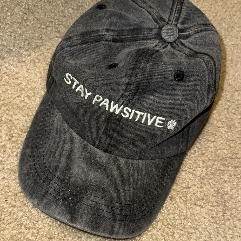 Stay Pawsitive Gray Cap